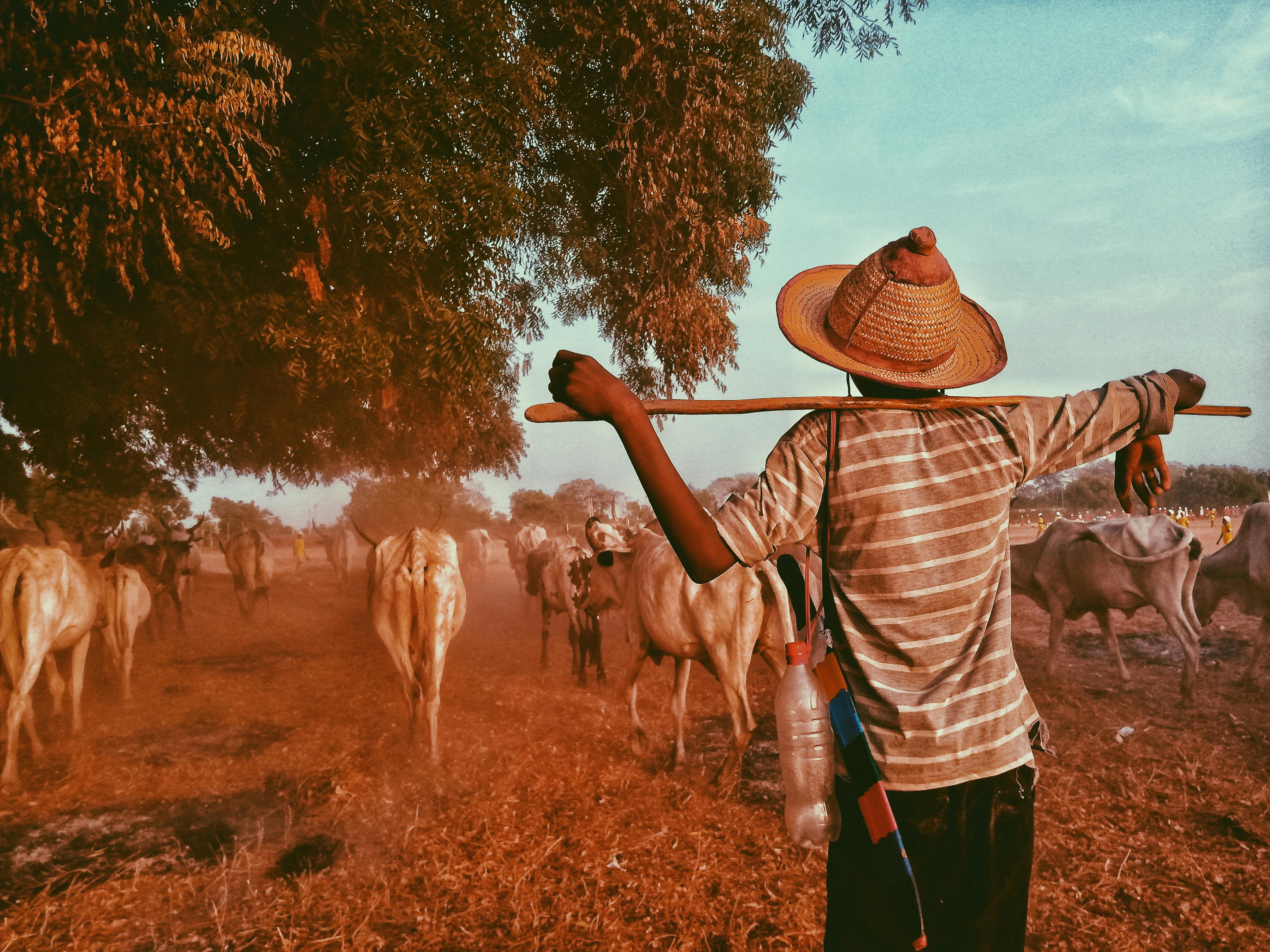AFRICAN AGRIBUSINESS: Data Driven Farming—How IMTA is Transforming Climate Resilience and Nutrition in Kenya